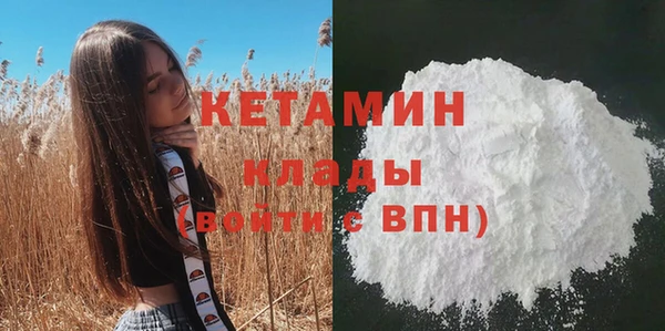 эйфоретик Пересвет