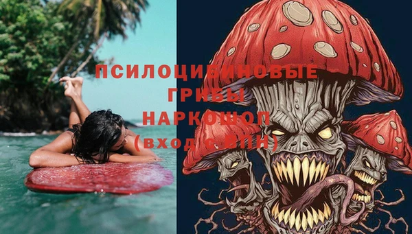 apvp Пестово