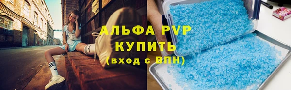 эйфоретик Пересвет
