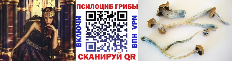 Псилоцибиновые грибы прущие грибы  omg ТОР  Кореновск  купить  цена 