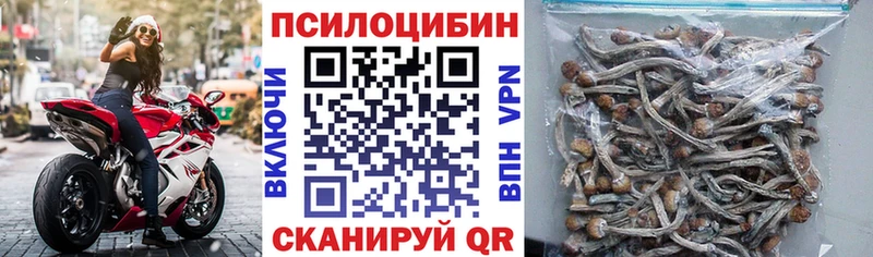 Псилоцибиновые грибы MAGIC MUSHROOMS Кореновск