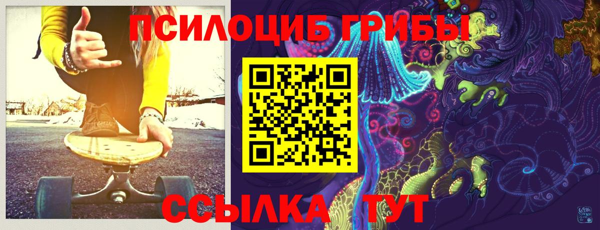 Псилоцибиновые грибы Psilocybe Кореновск