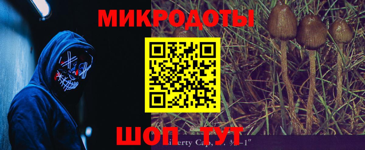 Псилоцибиновые грибы Psilocybine cubensis  Вход с VPN  Кореновск 